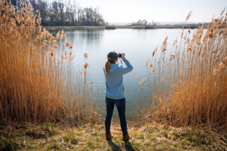 Privatvermögen mit dem Zweck Naturschutz langfristig zu fördern